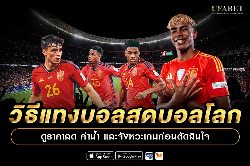 วิธีแทงบอลสดบอลโลก